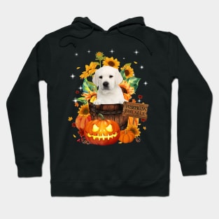 White Labrador Halloween Pumpkin Fall Bucket Hoodie